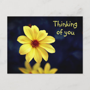Yellow Dahlia Elegant Flower Thinking of You Holiday Postcard