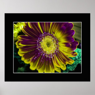 Yellow Dahlia Flower Abstract Art Poster