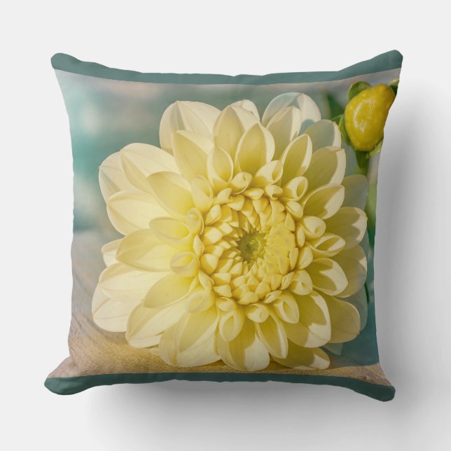 Yellow Dahlia Flower on Dark Teal Background  Cushion (Front)