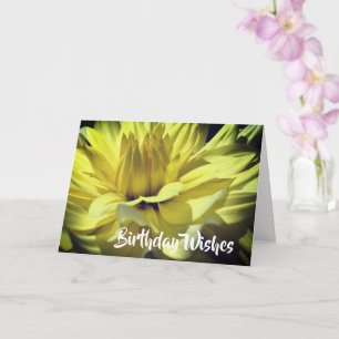 Yellow Dahlia Flower Petals Birthday Card
