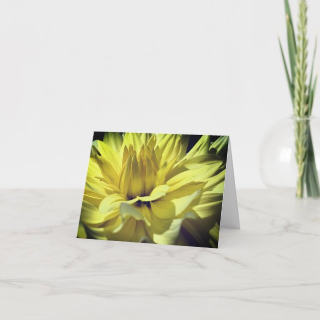 Yellow Dahlia Flower Petals Photography Note Card (Front)