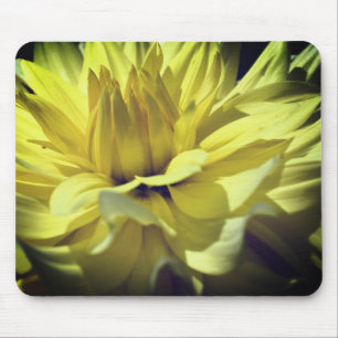 Yellow Dahlia Flower Petals Up Close Mouse Mat