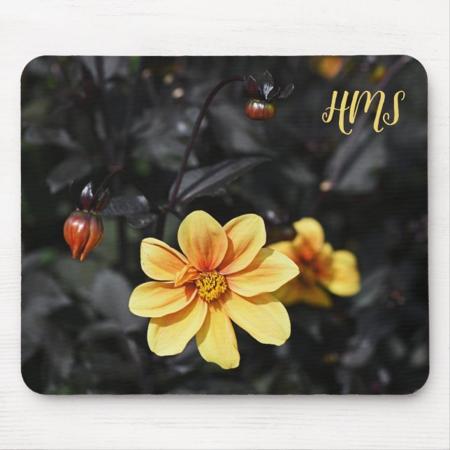Yellow Dahlia Flowers Wisley Gardens Monongram Mouse Mat (Front)