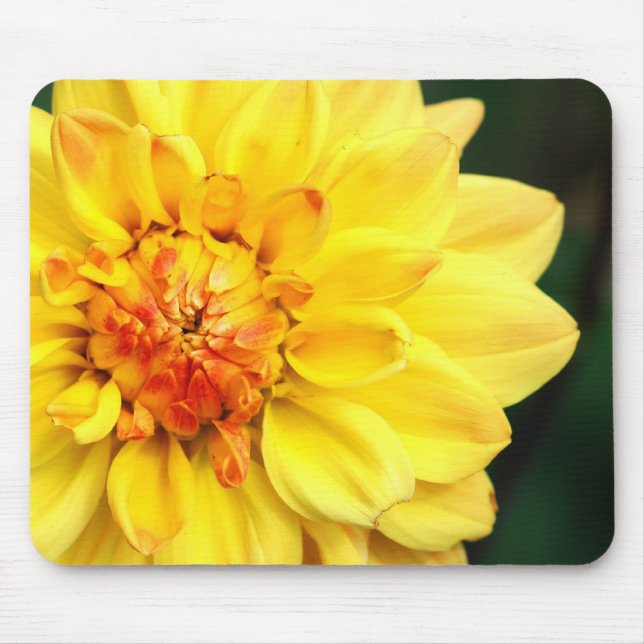 Yellow Dahlia Mousepad (Front)