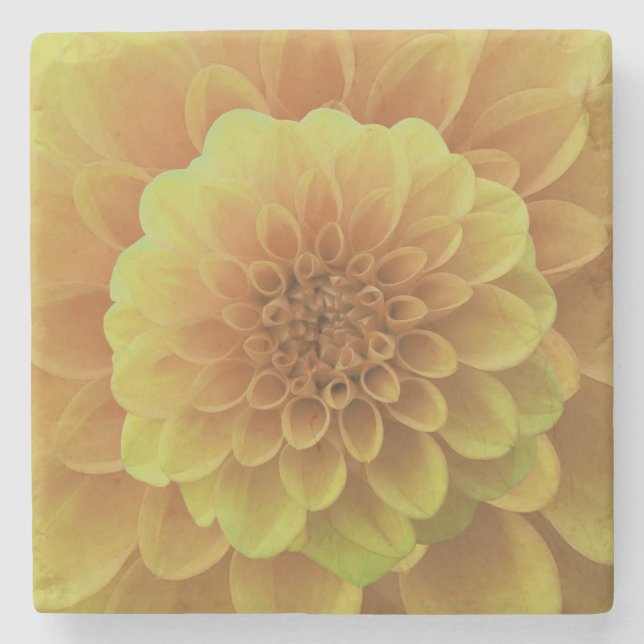 Yellow Dahlia Stone Coaster (Front)