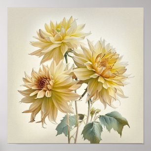 Yellow Dahlias Flower Art Print Poster