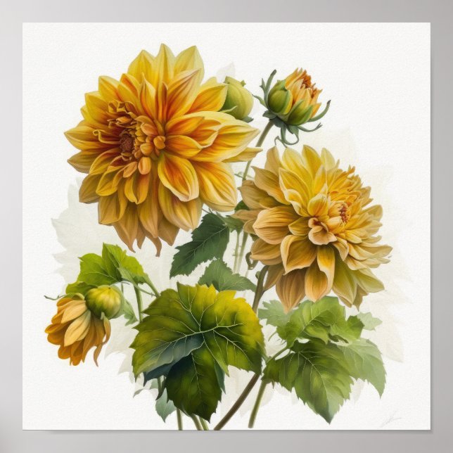 Yellow Dahlias Flower Art Print Poster (Front)