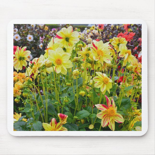 Yellow dahlias garden mouse mat (Front)