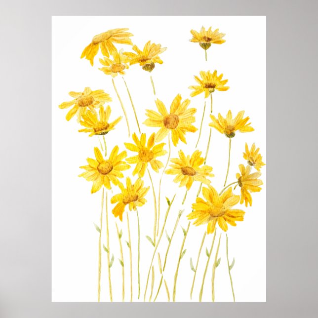 yellow daisies in bloom poster (Front)