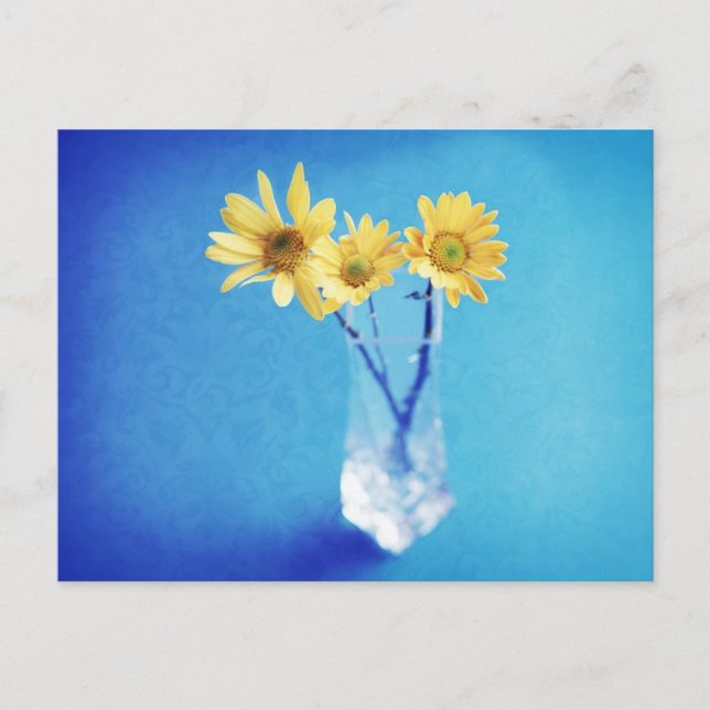 Yellow Daisies on Blue with Brocade Pattern Postcard (Front)