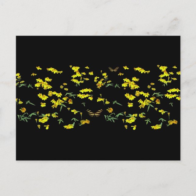 Yellow Daisies Postcard (Front)