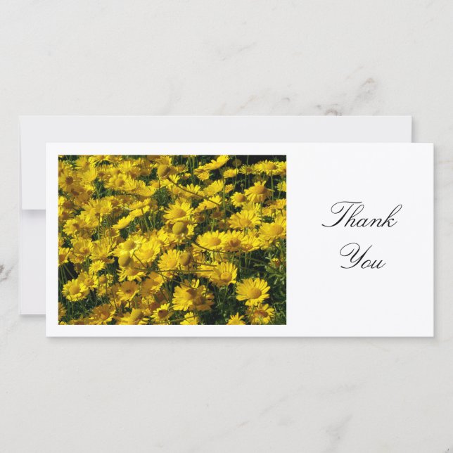 Yellow Daisies - Thank You Card (Front)
