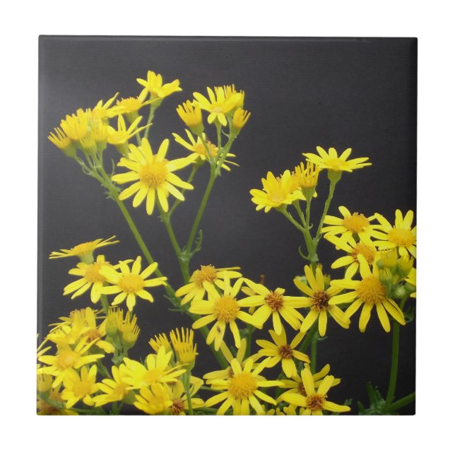 Yellow Daisies Tile (Front)