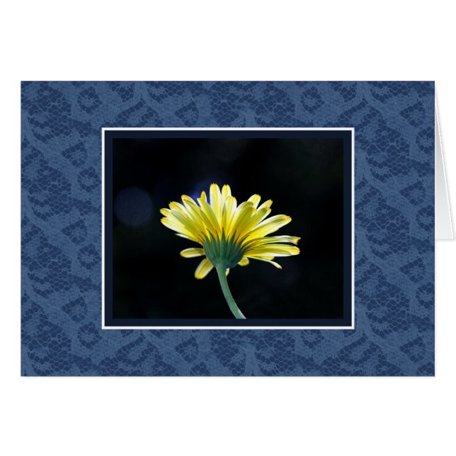 Yellow Daisy Blue Lace (Front Horizontal)