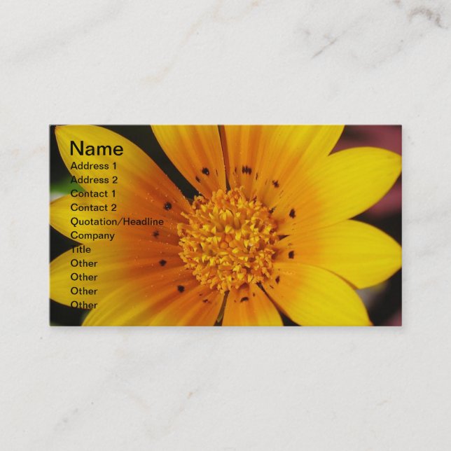 Yellow Daisy Business Card (Front)