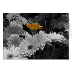 Yellow Daisy Card