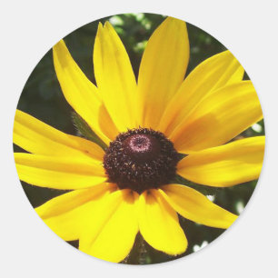 Yellow Daisy Classic Round Sticker