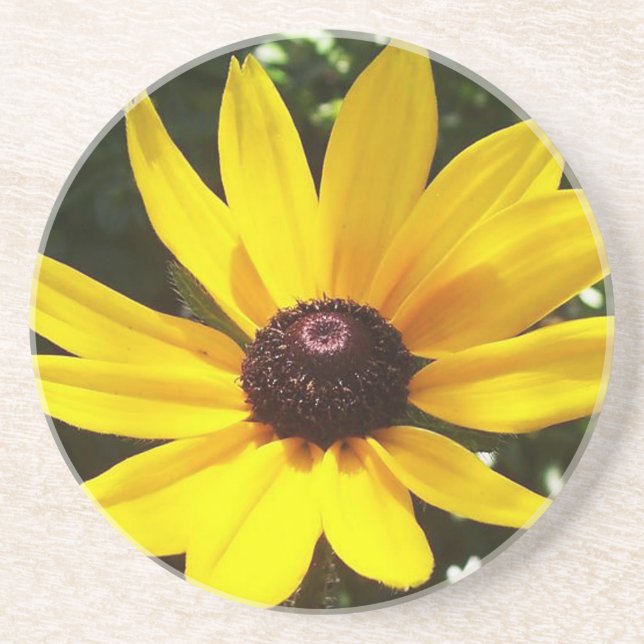 Yellow Daisy Coaster (Front)