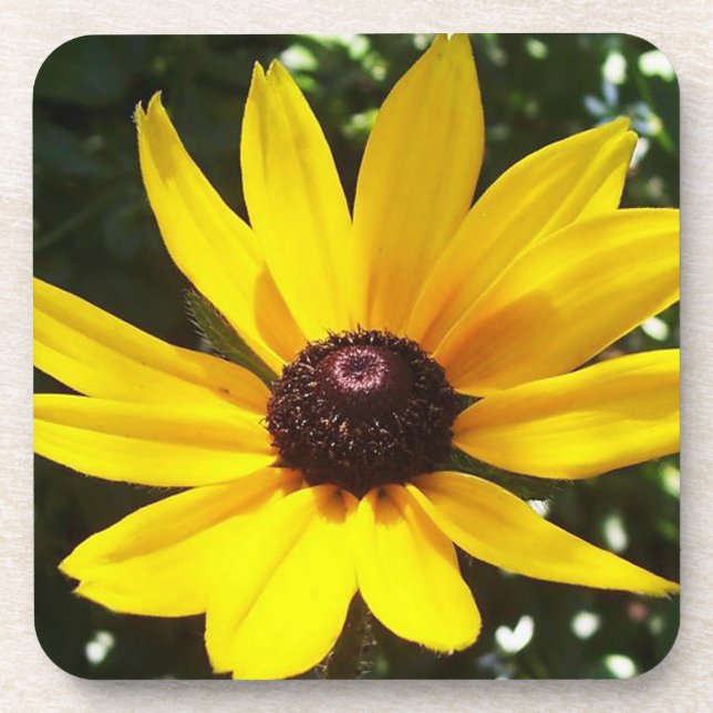 Yellow Daisy Coaster (Front)