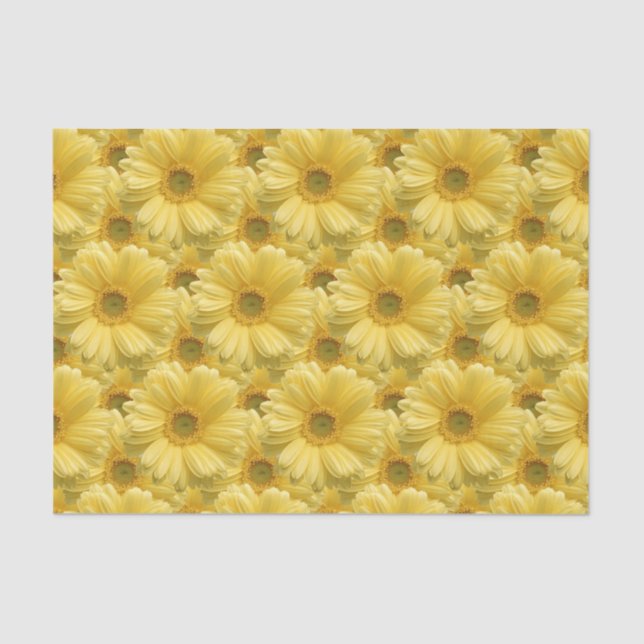 Yellow Daisy Daisies Floral Gift Tissue Paper (Front)