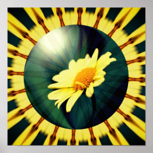 Yellow Daisy Floral Abstract Art Poster