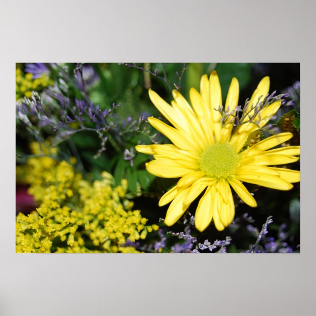 Yellow Daisy Floral Arrangement Print (Front)
