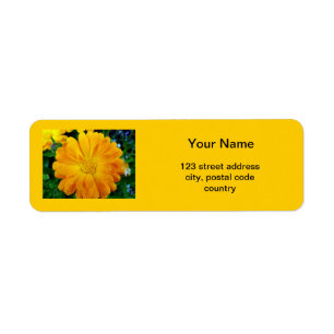 yellow daisy flower address label