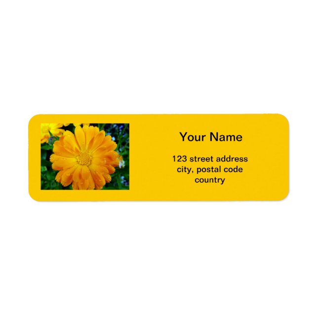 yellow daisy flower address label (Front)