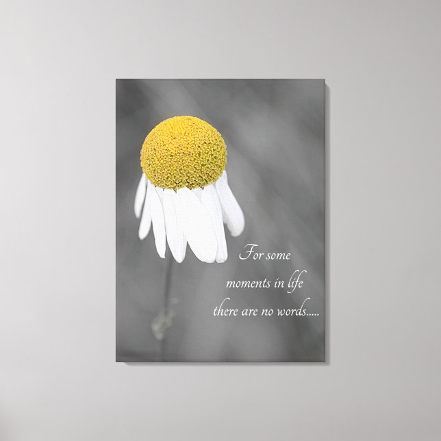 Yellow Daisy flower Canvas Print (Front)