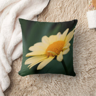 Yellow Daisy Flower Close Up  Cushion