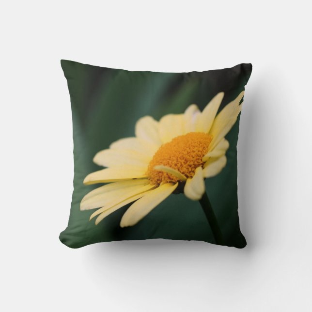 Yellow Daisy Flower Close Up  Cushion (Front)