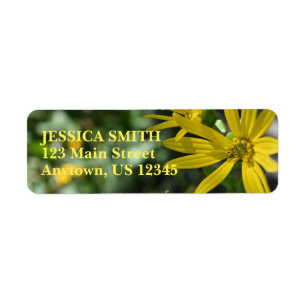 Yellow Daisy Flower Floral Nature Photography
