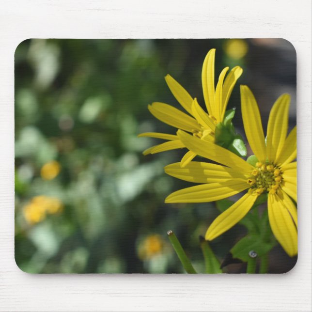 Yellow Daisy Flower Floral Nature Photography Mouse Mat (Front)