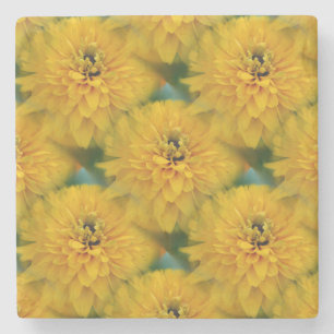 Yellow Daisy Flower Nature Art Pattern Stone Coaster