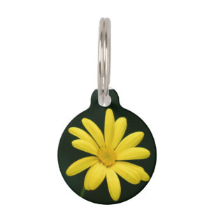 Yellow Daisy flower Pet Tag