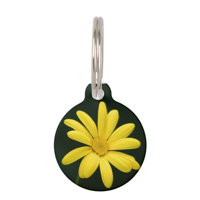Yellow Daisy flower Pet Tag (Front)