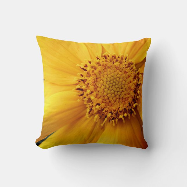 Yellow Daisy Flower Petals And Centre Close Up  Cushion (Front)