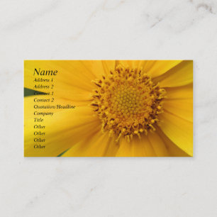 Yellow Daisy Flower Petals Business Card