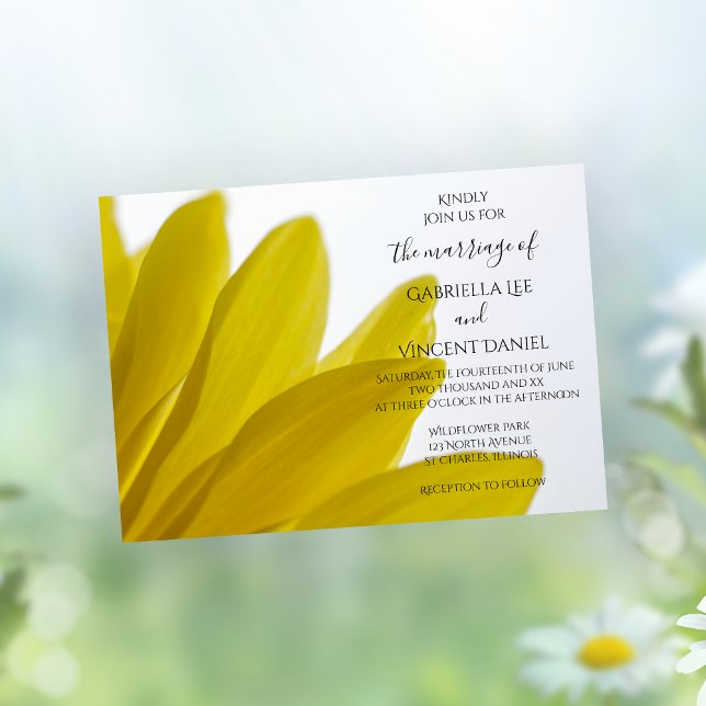 Yellow Daisy Flower Petals Wedding Invitation (Creator Uploaded)