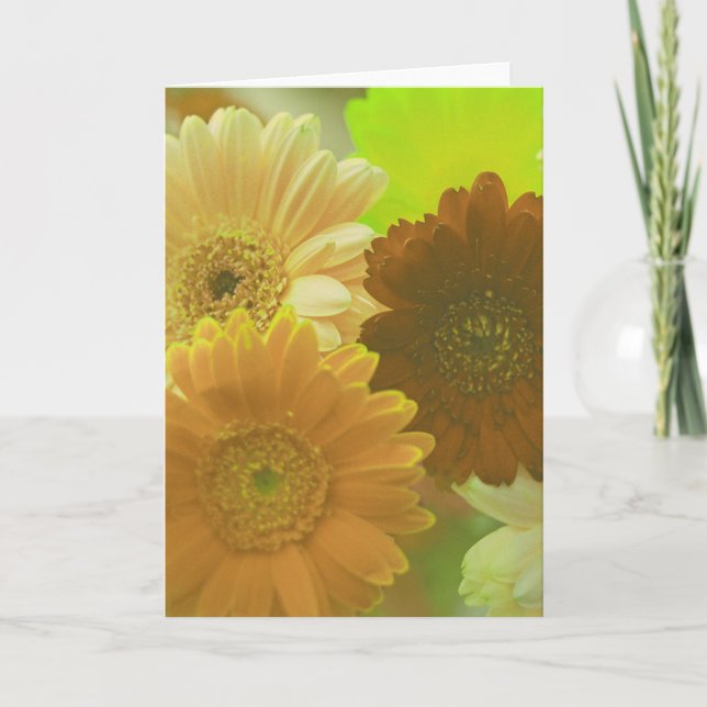 Yellow Daisy Flowers Photo Note or Greeting Cards (Front)