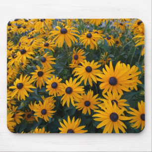 Yellow daisy garden flowers. mouse mat