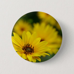 Yellow Daisy Helenium Badge