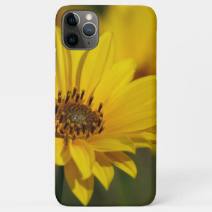 Yellow Daisy Helenium iPhone 11 Pro Max Case