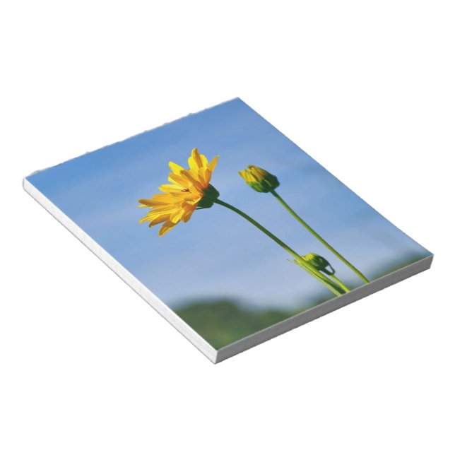 Yellow Daisy Helenium Notepad (Angled)