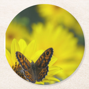 Yellow Daisy Helenium Round Paper Coaster