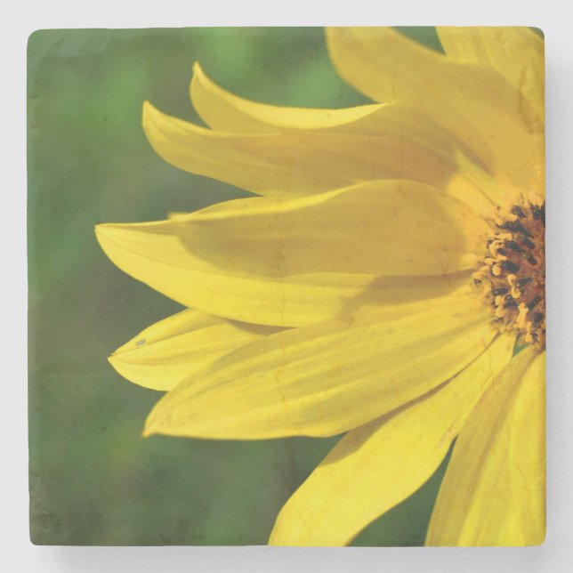 Yellow Daisy Helenium Stone Coaster (Front)