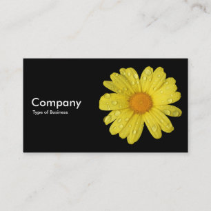 Yellow Daisy in the Rain - Black Business Card