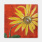 Yellow Daisy