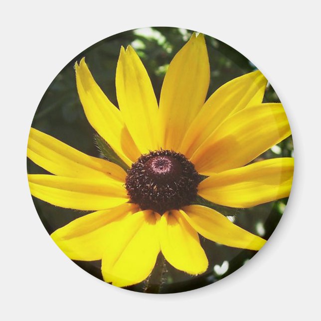 Yellow Daisy Magnet (Front)