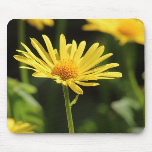 Yellow Daisy Mouse Mat (Front)